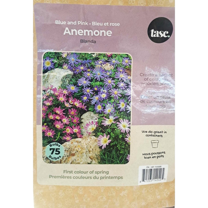 Tasc Assorted Flower Bulbs