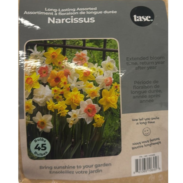 Tasc - Assortiments de bulbs de fleurs