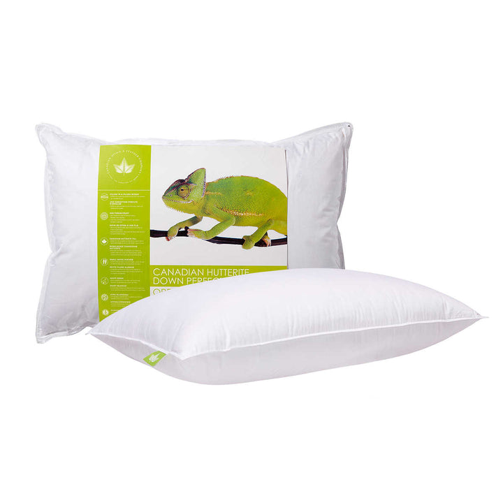 Canadian Down & Feather Company - Oreiller Down Perfect en duvet Huttérite