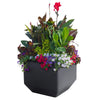 Versa - Jardinières carrées de 40,6 cm (16 po) avec système d’auto-irrigation