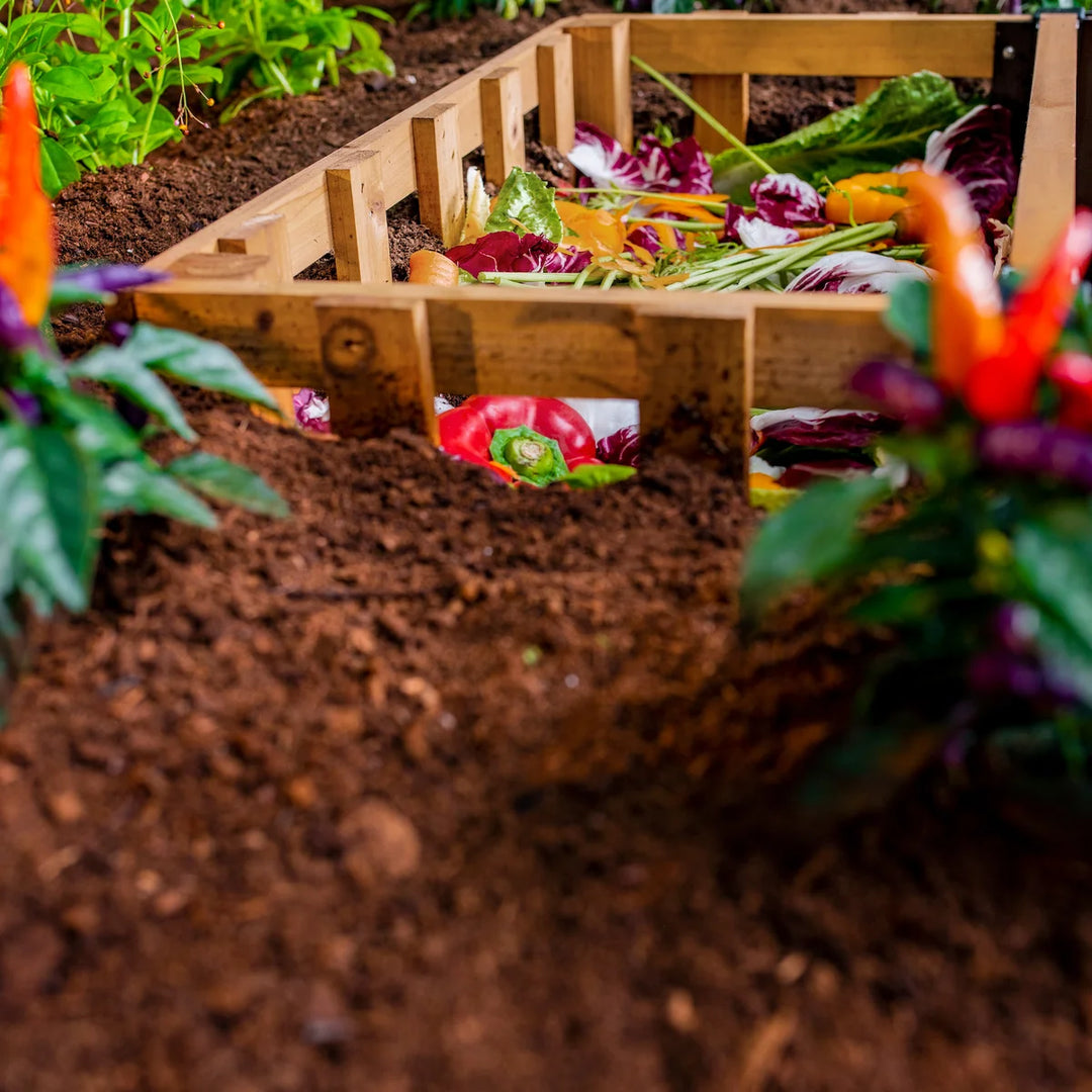 Vita Mezza - Lit de jardin à compost 6 x 6 pi