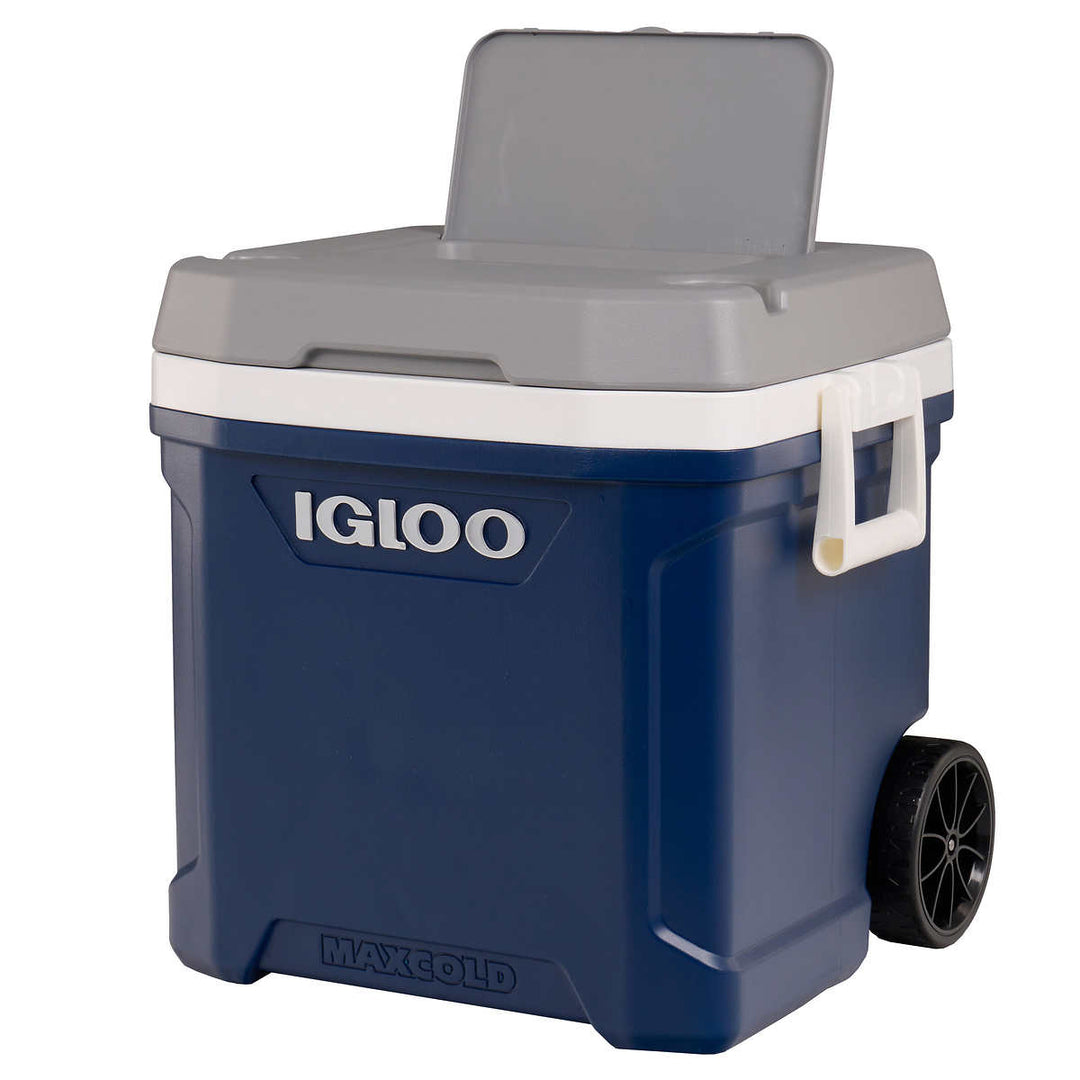 Igloo - High-Performance Cooler