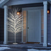 Glittering Christmas tree with LED lights