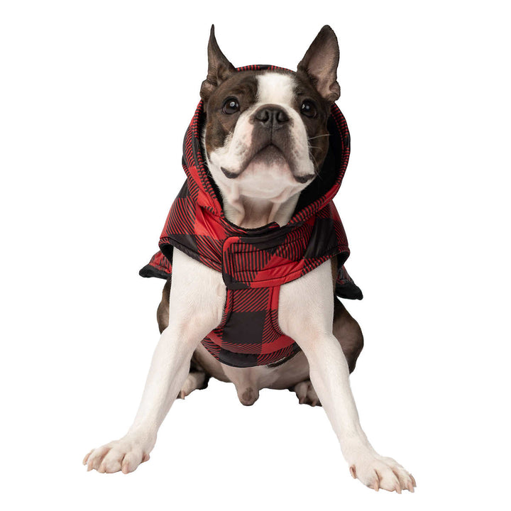 South Paw Jackson Dog Jacket