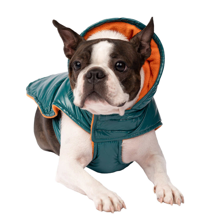 South Paw Jackson Dog Jacket