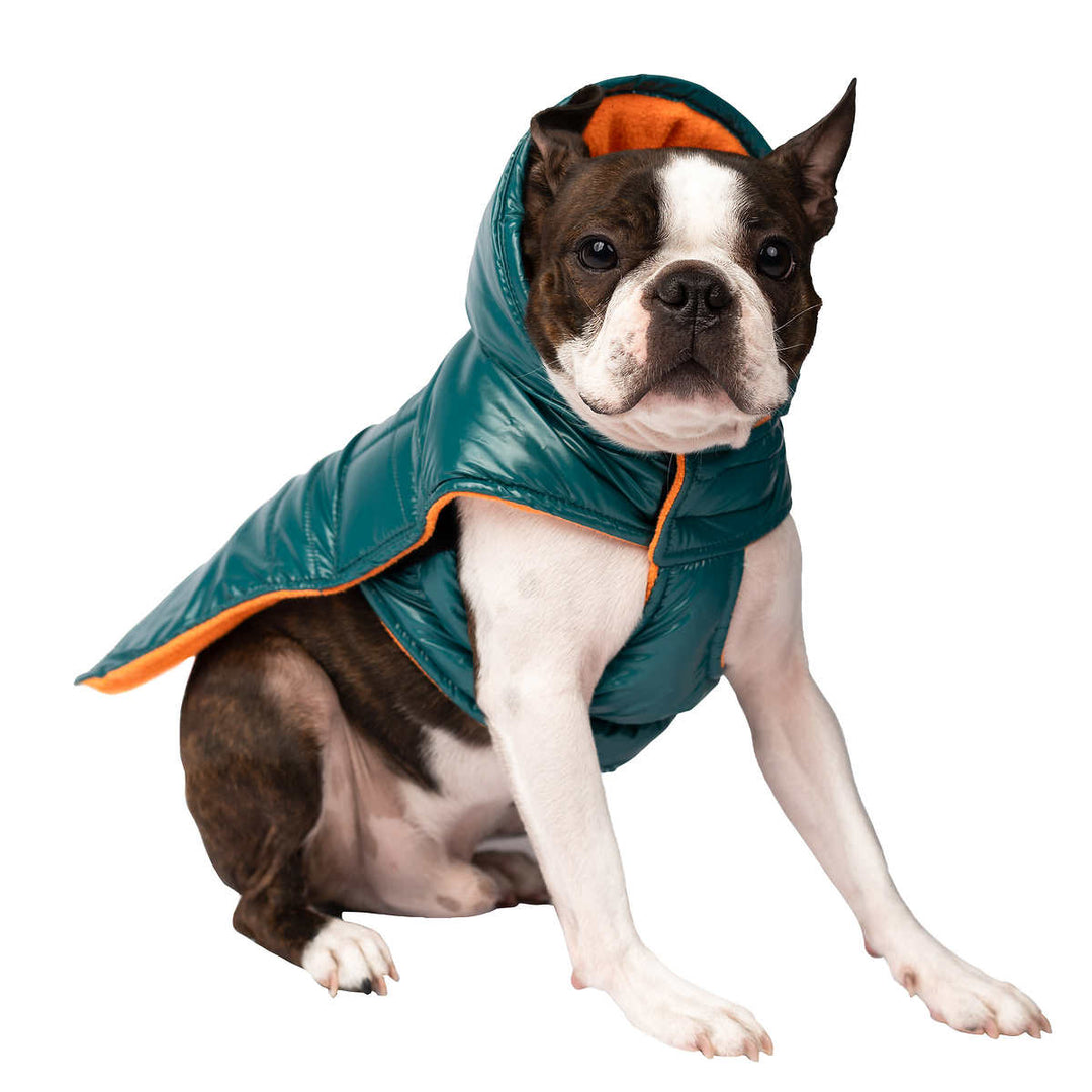 South Paw Jackson Dog Jacket