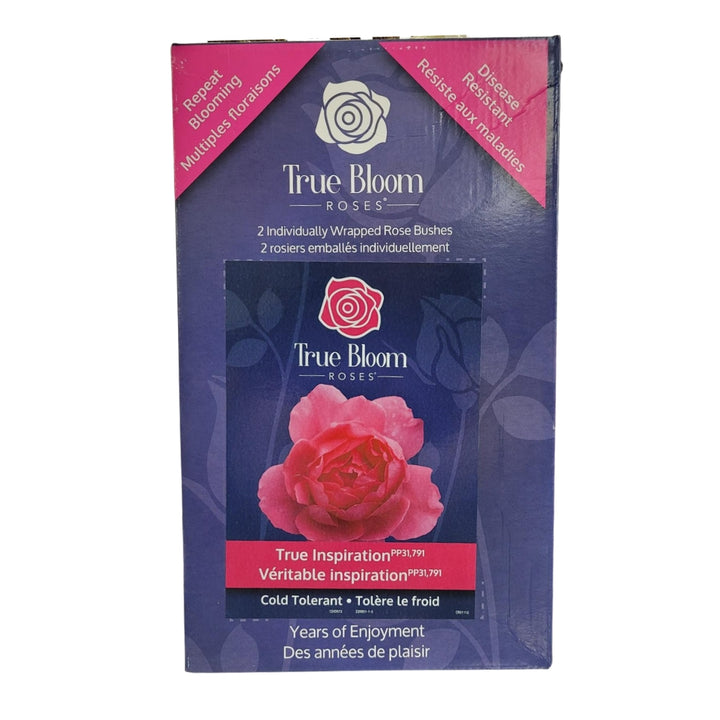 True Bloom Roses Varieties