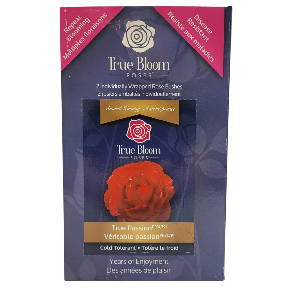 True Bloom Roses Varieties