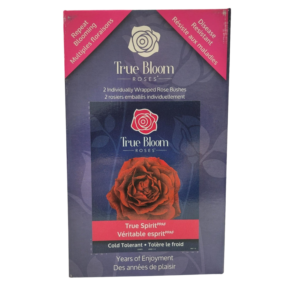 True Bloom Roses Varieties