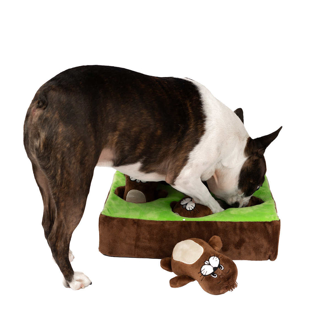 South Paw BARK-A-MOLE Interactive Dog Playset