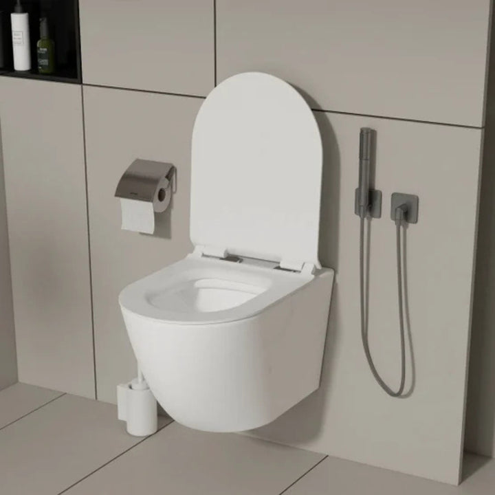 Appollo - Dillon toilette suspendue