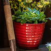 Robert Allen - Avondale Venti Autumn Blaze Planter, 14"