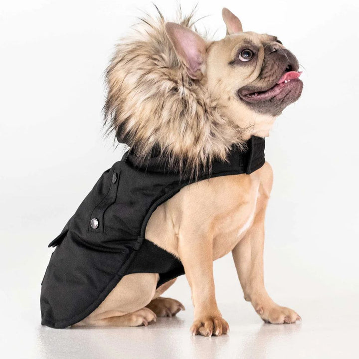 Karter - Manteau pour chien