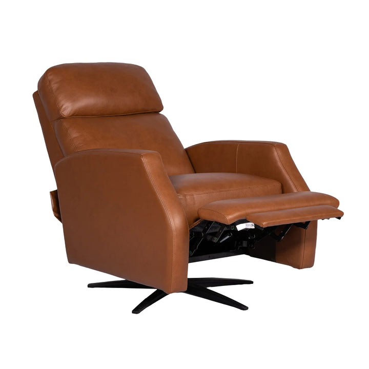 Synergy Home Swivel Recliner