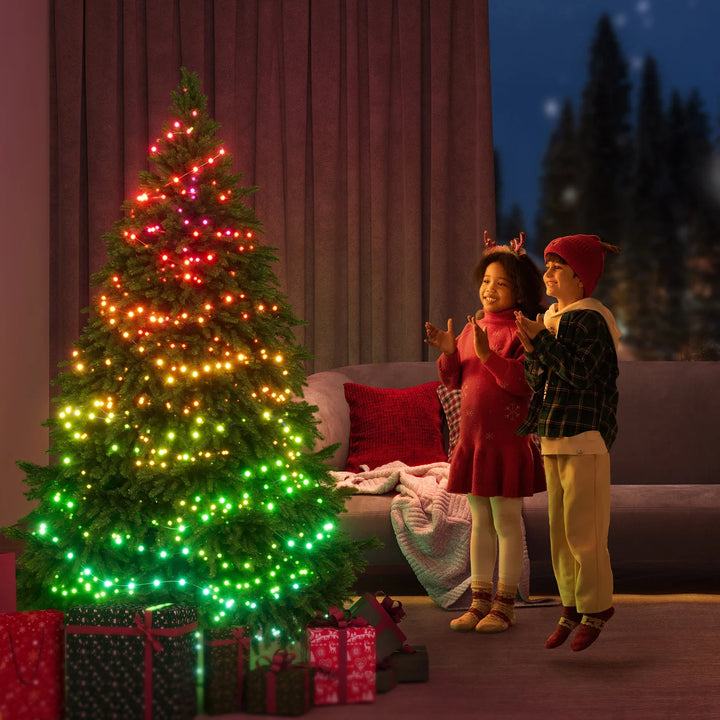 Govee Christmas String Lights - 2-Pack