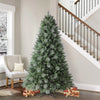 Bennington - 2.2 m Artificial Christmas Tree