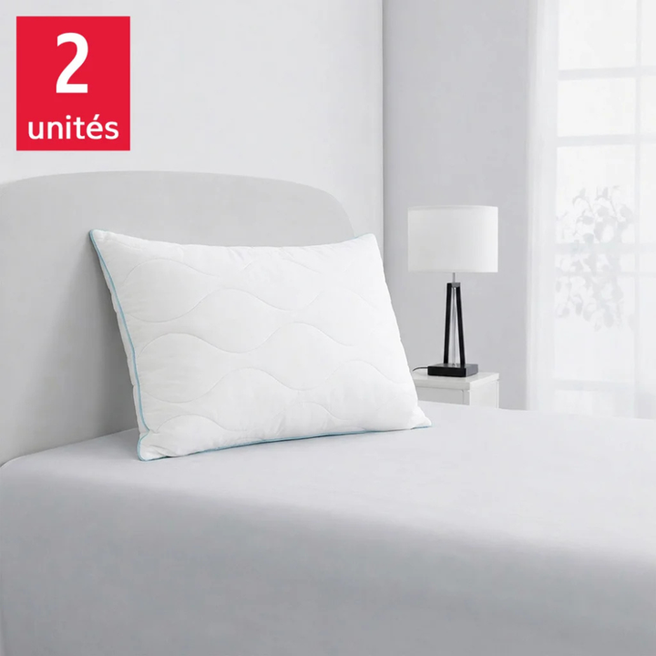 Below Zero - Cooling memory foam pillows, set of 2