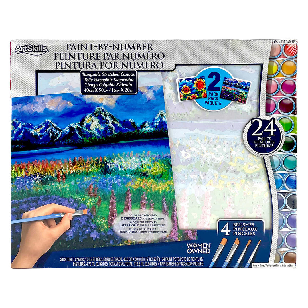 ArtSkills Paint by Numbers for Adults - 2-Pack