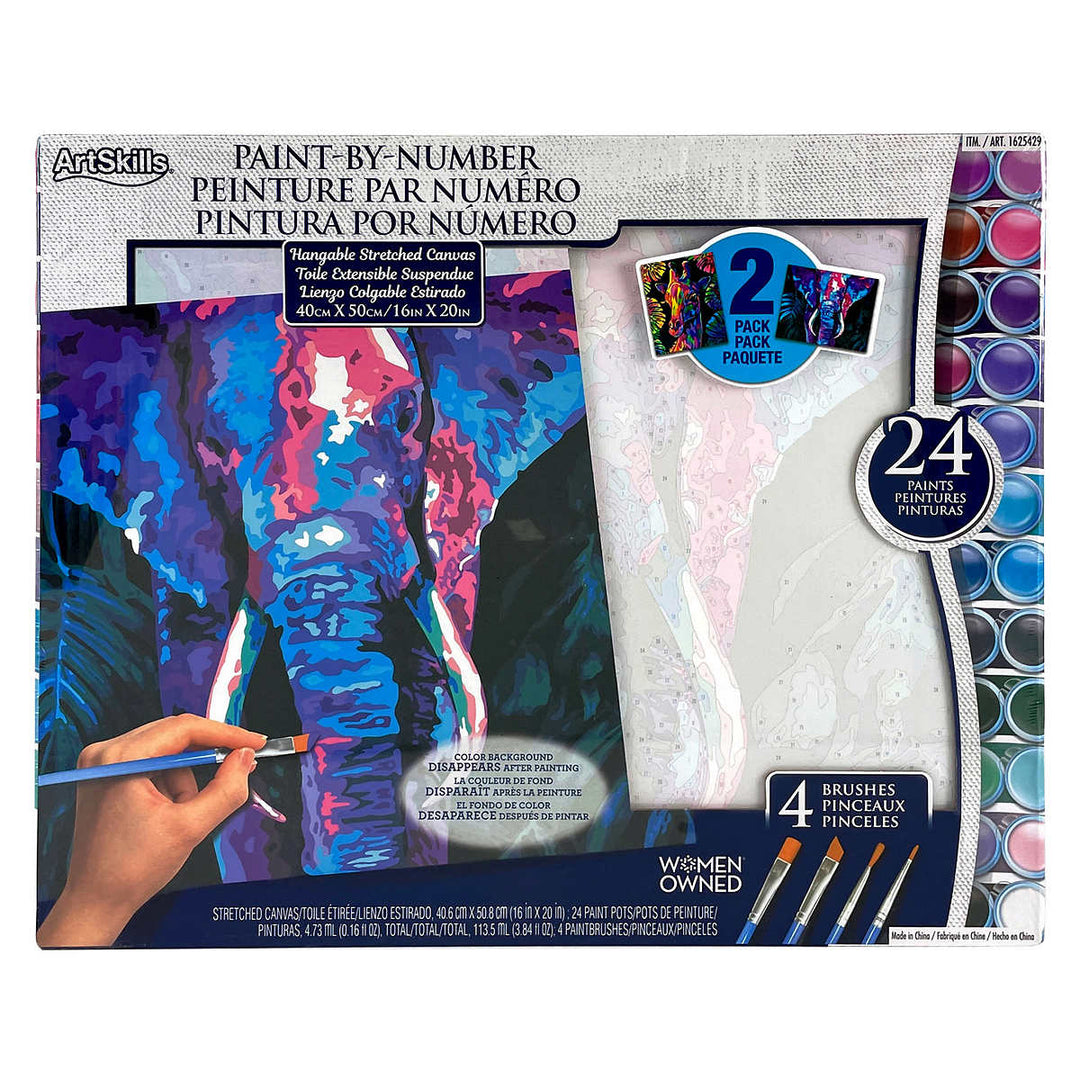 ArtSkills Paint by Numbers for Adults - 2-Pack