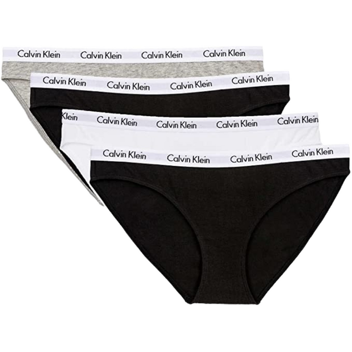 Calvin Klein Women's Bikini Brief, 4 Pack