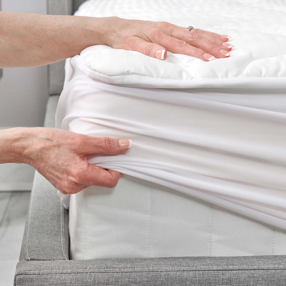 Sealy - Couvre-matelas en coton