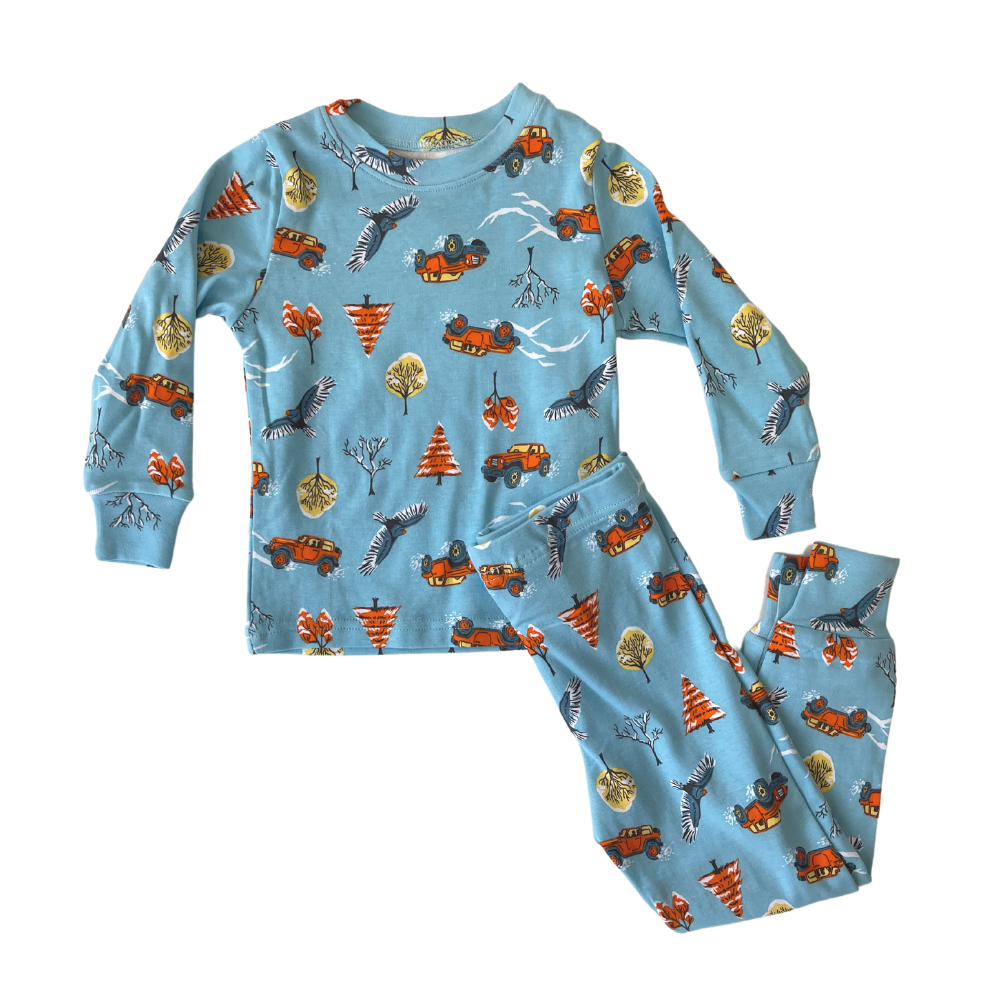 Kirkland Signature 2-Piece Pajama Set - 2-Pack