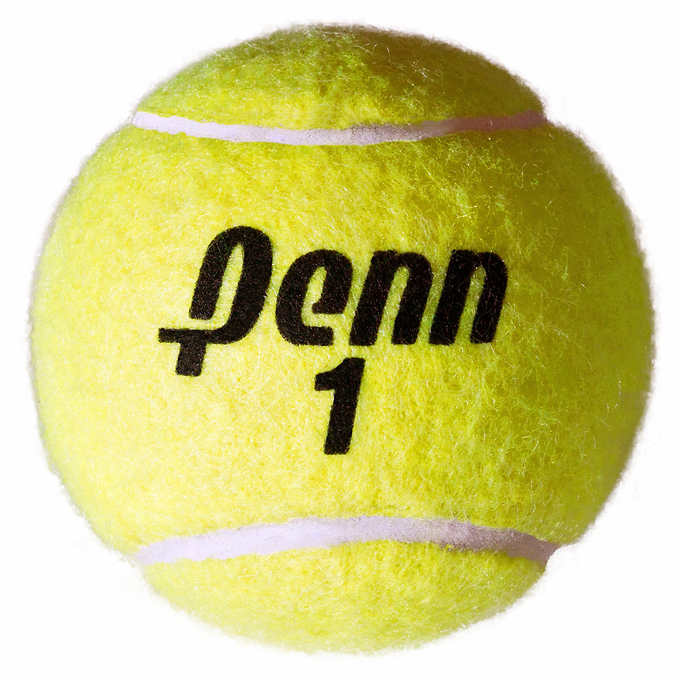 Penn - Ensemble de 60 balles de tennis